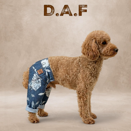 Flo Denim Pantolon