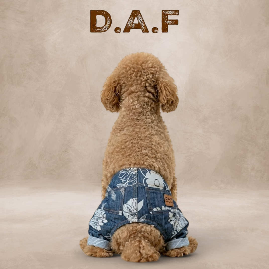 Flo Denim Pantolon