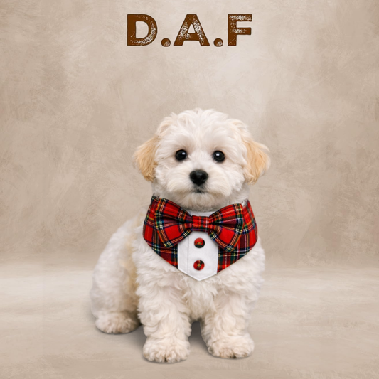 Ekose Yaka – Köpekler için Şık Aksesuar | Dogs All Friends