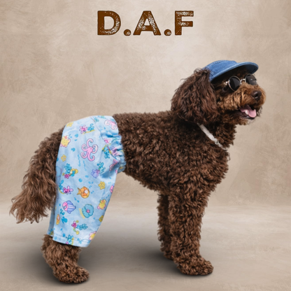 Nimo Şort – Dogs All Friends