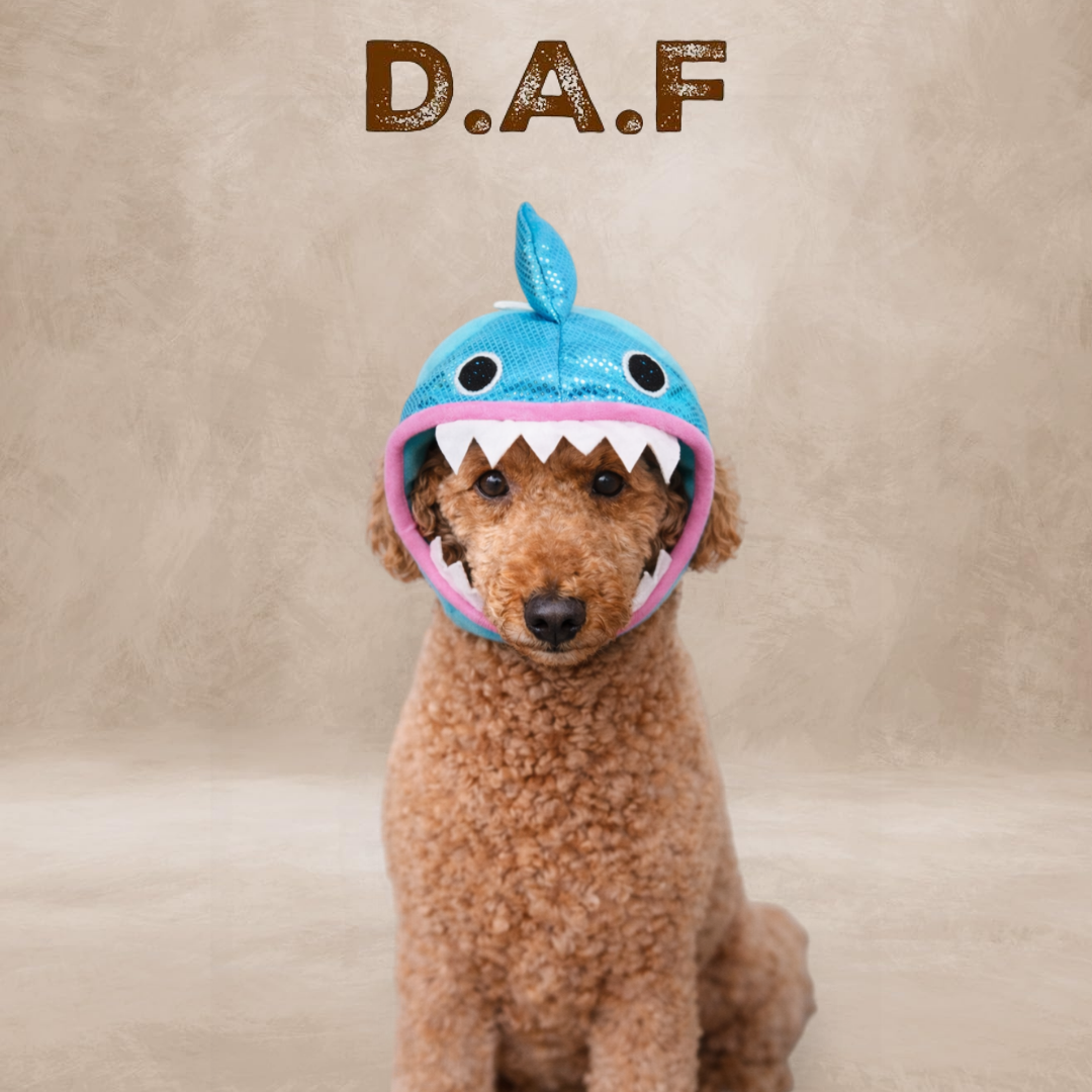Shark Şapka – Köpek Kostümü
