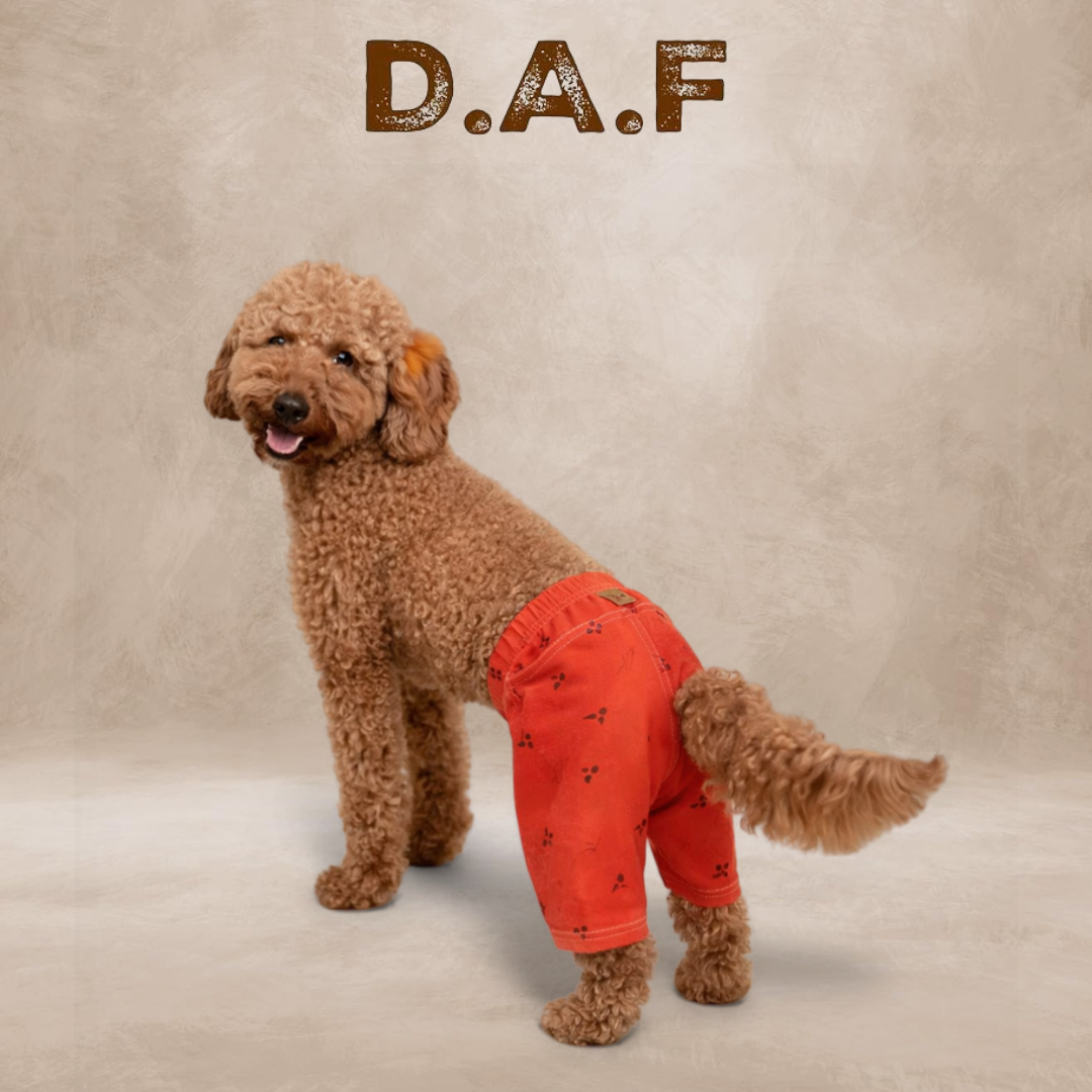 Crap Şort – Dogs All Friends