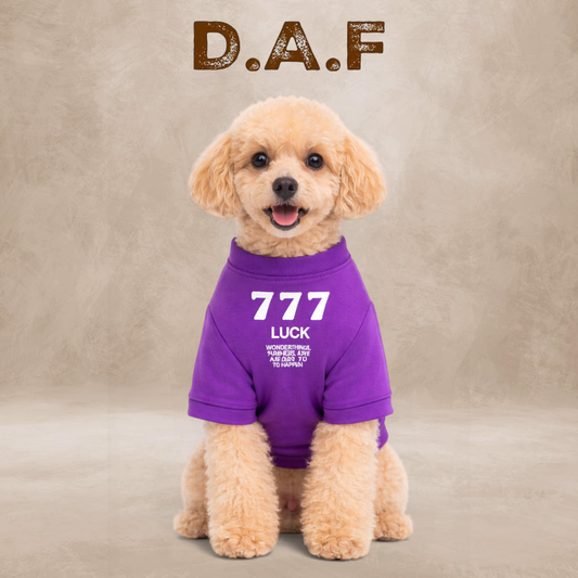 Luck Basic Sweatshirt – Dogs All Friends