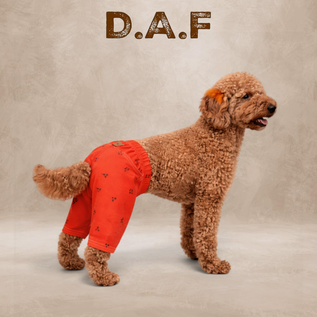 Crap Şort – Dogs All Friends