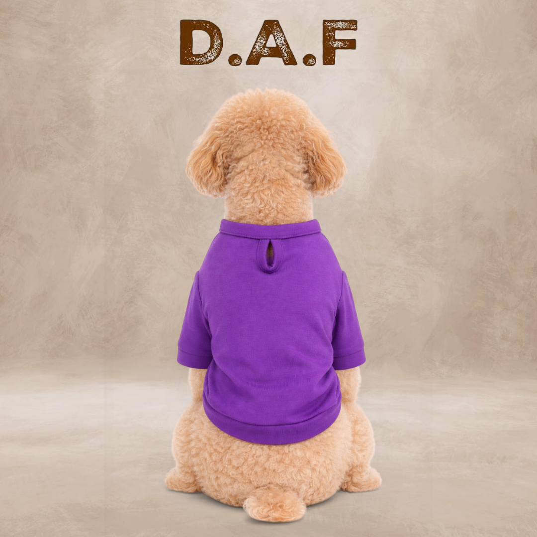 Luck Basic Sweatshirt – Dogs All Friends