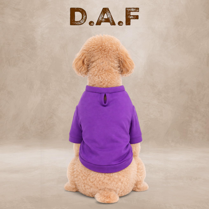 Luck Basic Sweatshirt – Dogs All Friends