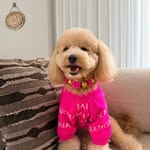 @ladyy_poodle