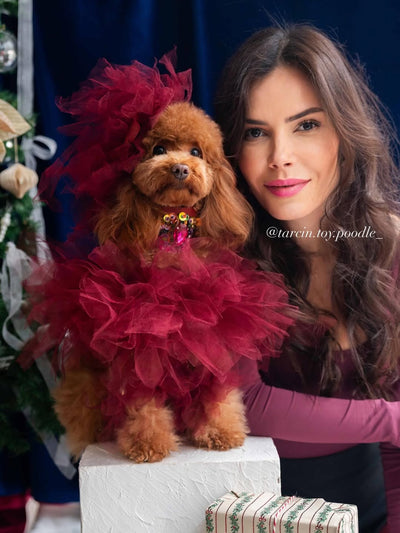 tarcin.toy.poodle_