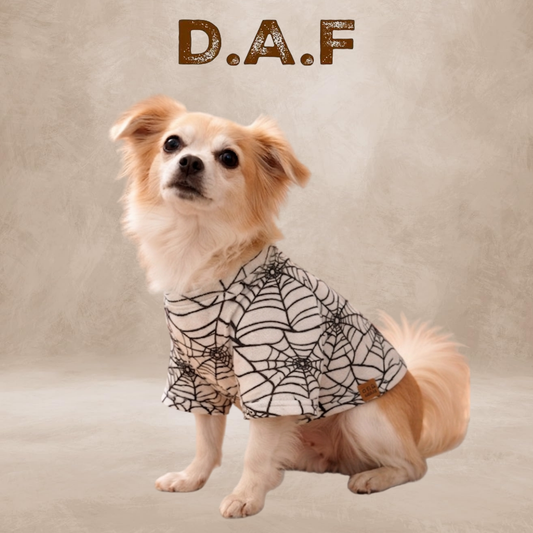 Spyder Basic  – Dogs All Friends