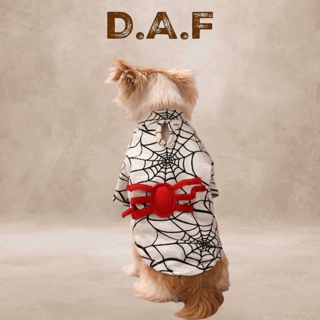 Spyder Basic  – Dogs All Friends